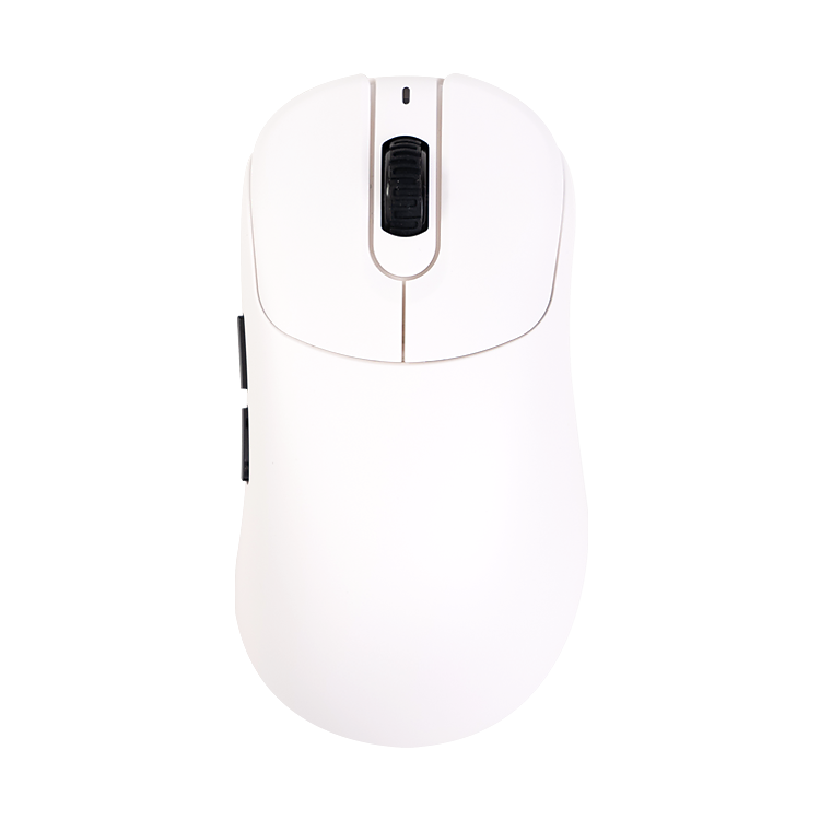 ZYGEN NP 01S V2
